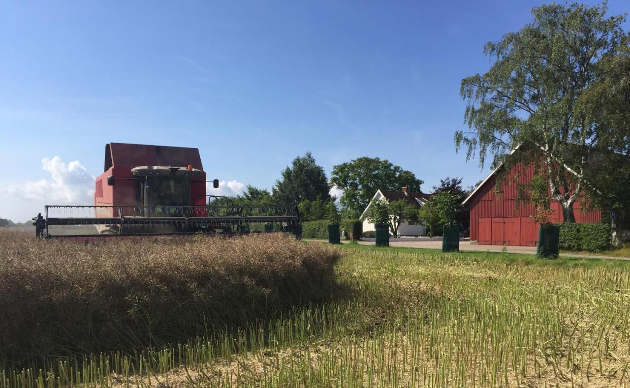 Lyckas Gards Gaestboende Höganäs Zewnętrze zdjęcie